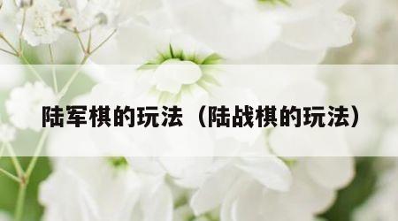陆军棋的玩法（陆战棋的玩法）