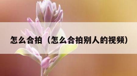 怎么合拍（怎么合拍别人的视频）