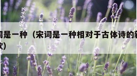 宋词是一种（宋词是一种相对于古体诗的新体诗歌）
