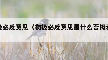 物极必反意思（物极必反意思是什么否极泰来）