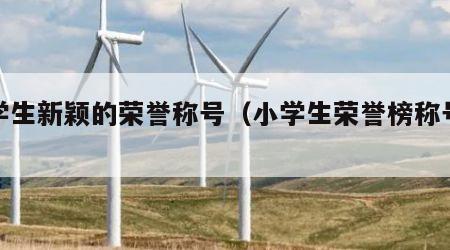 小学生新颖的荣誉称号（小学生荣誉榜称号大全）