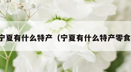 宁夏有什么特产（宁夏有什么特产零食）