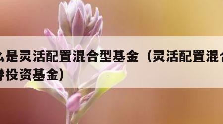 什么是灵活配置混合型基金（灵活配置混合型证券投资基金）