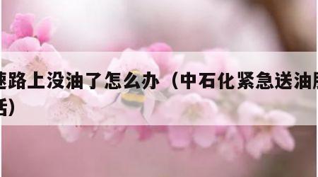 高速路上没油了怎么办（中石化紧急送油服务电话）