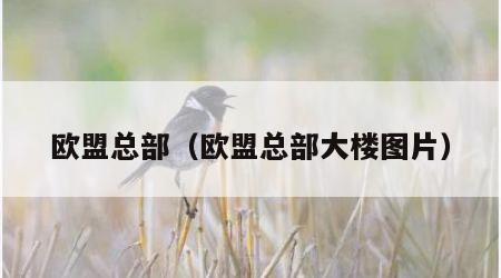 欧盟总部（欧盟总部大楼图片）