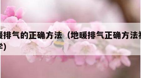 地暖排气的正确方法（地暖排气正确方法视频教学）