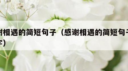 感谢相遇的简短句子（感谢相遇的简短句子八个字）