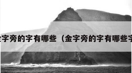 金字旁的字有哪些（金字旁的字有哪些字）