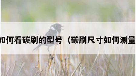 如何看碳刷的型号（碳刷尺寸如何测量）