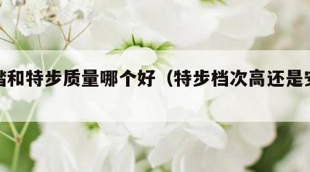 安踏和特步质量哪个好（特步档次高还是安踏高）