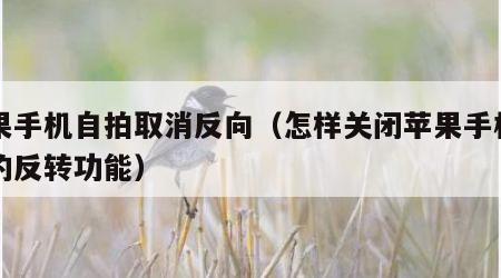 苹果手机自拍取消反向（怎样关闭苹果手机自拍的反转功能）