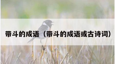 带斗的成语（带斗的成语或古诗词）