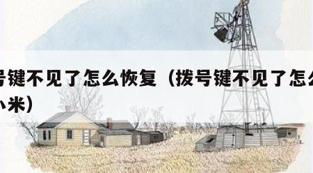 拨号键不见了怎么恢复（拨号键不见了怎么恢复小米）