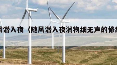 随风潜入夜（随风潜入夜润物细无声的修辞手法）