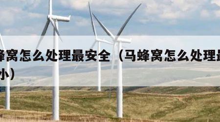 马蜂窝怎么处理最安全（马蜂窝怎么处理最安全 小）