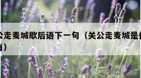 关公走麦城歇后语下一句（关公走麦城是什么生肖）