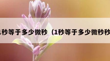 1秒等于多少微秒（1秒等于多少微秒秒）