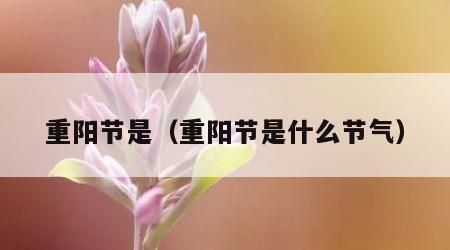 重阳节是（重阳节是什么节气）
