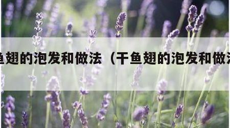 干鱼翅的泡发和做法（干鱼翅的泡发和做法吃法）