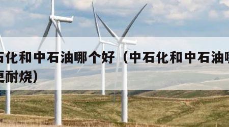 中石化和中石油哪个好（中石化和中石油哪个好更耐烧）