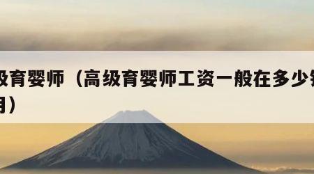 高级育婴师（高级育婴师工资一般在多少钱一个月）
