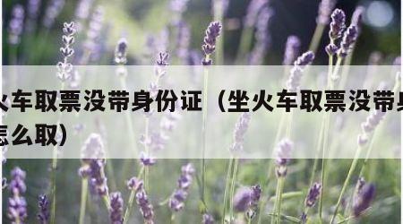 坐火车取票没带身份证（坐火车取票没带身份证怎么取）