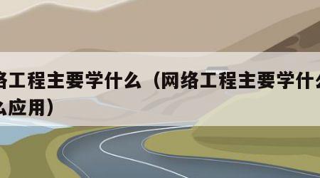 网络工程主要学什么（网络工程主要学什么有什么应用）