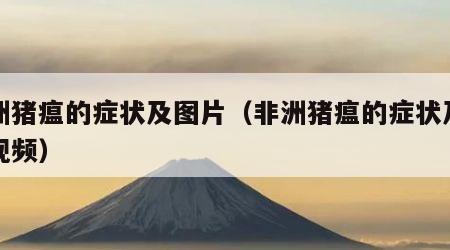 非洲猪瘟的症状及图片（非洲猪瘟的症状及图片视频）