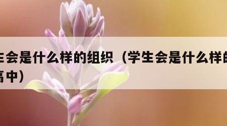 学生会是什么样的组织（学生会是什么样的组织高中）