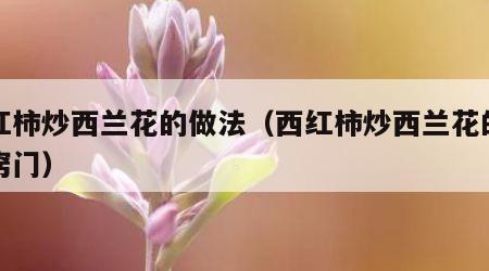 西红柿炒西兰花的做法（西红柿炒西兰花的做法窍门）