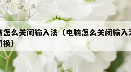 电脑怎么关闭输入法（电脑怎么关闭输入法快捷切换）