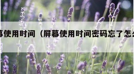 屏幕使用时间（屏幕使用时间密码忘了怎么办）