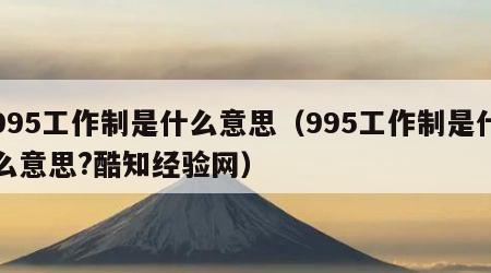 995工作制是什么意思（995工作制是什么意思?酷知经验网）