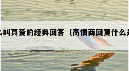 什么叫真爱的经典回答（高情商回复什么是爱）