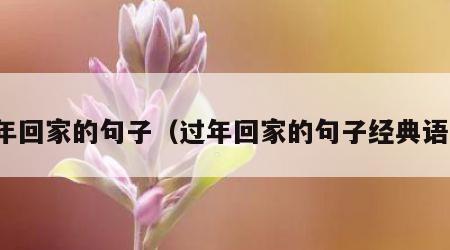 过年回家的句子（过年回家的句子经典语录）