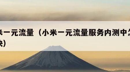 小米一元流量（小米一元流量服务内测中怎么解决）