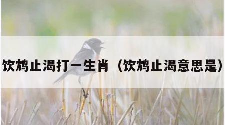 饮鸩止渴打一生肖（饮鸩止渴意思是）