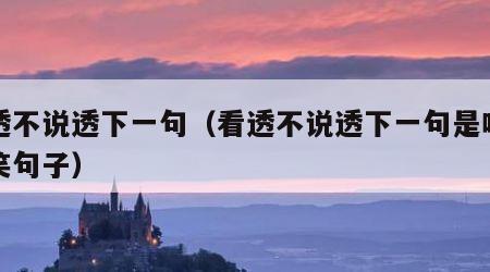 看透不说透下一句（看透不说透下一句是啥的搞笑句子）