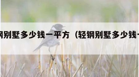 轻钢别墅多少钱一平方（轻钢别墅多少钱一平方）