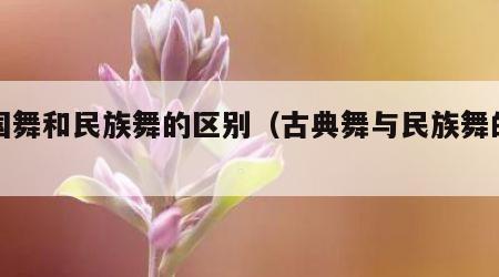 中国舞和民族舞的区别（古典舞与民族舞的区别）