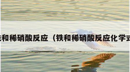 铁和稀硝酸反应（铁和稀硝酸反应化学式）