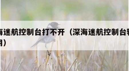 深海迷航控制台打不开（深海迷航控制台输入没用）