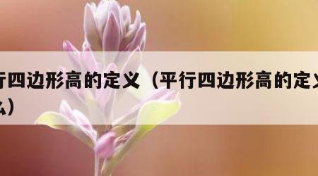 平行四边形高的定义（平行四边形高的定义是什么）