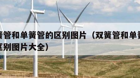 双簧管和单簧管的区别图片（双簧管和单簧管的区别图片大全）