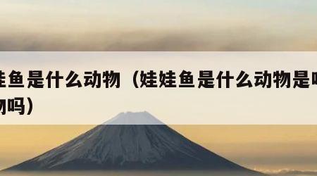 娃娃鱼是什么动物（娃娃鱼是什么动物是哺乳动物吗）