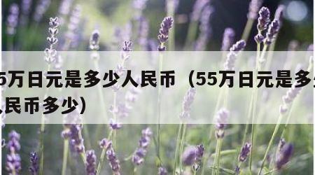 55万日元是多少人民币（55万日元是多少人民币多少）