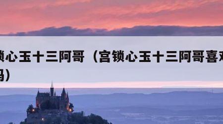 宫锁心玉十三阿哥（宫锁心玉十三阿哥喜欢凝香吗）