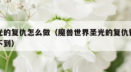 圣光的复仇怎么做（魔兽世界圣光的复仇锤子找不到）