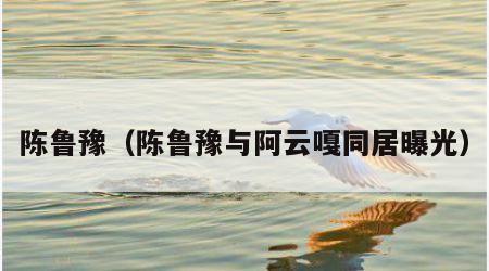 陈鲁豫（陈鲁豫与阿云嘎同居曝光）