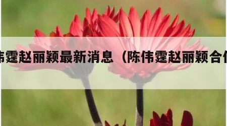 陈伟霆赵丽颖最新消息（陈伟霆赵丽颖合作新剧）